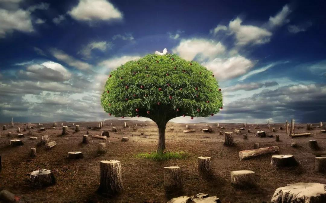 青山綠水，愿一起共賞