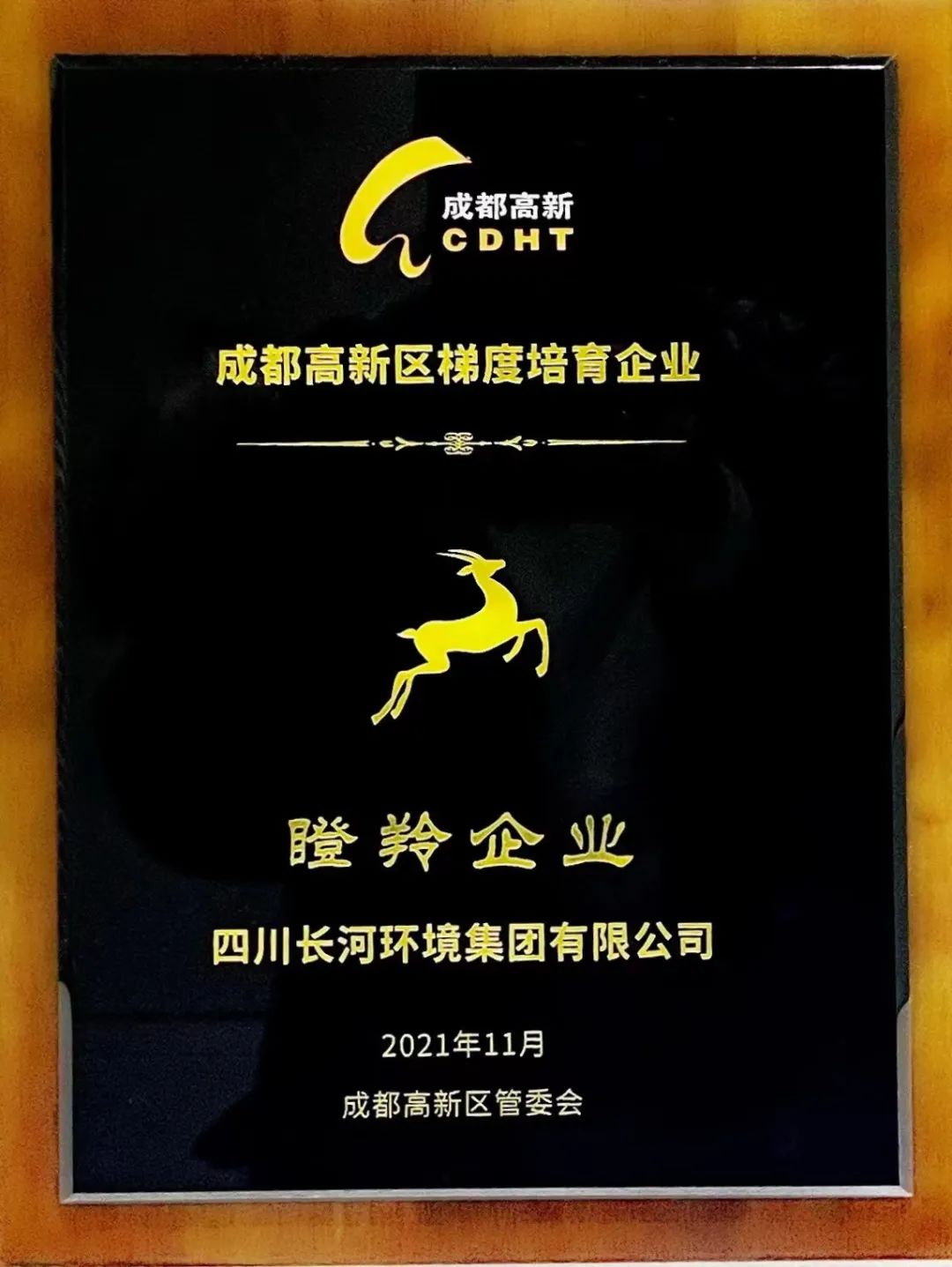 頻獲殊榮 | 四川長河環(huán)境集團榮獲成都高新區(qū)“瞪羚企業(yè)”